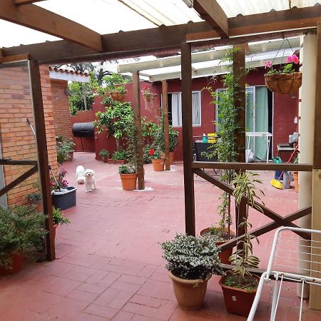 Apartamento Alicia Punta del Este Exterior foto